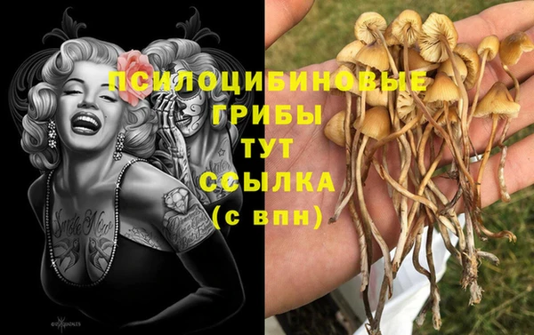 герыч Богородицк