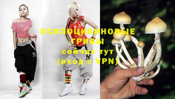 герыч Богородицк