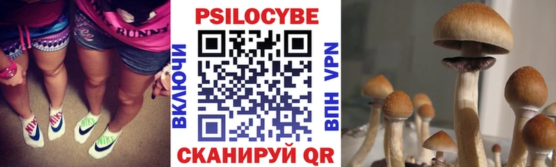купить наркотики сайты  Томск  мега маркетплейс  Псилоцибиновые грибы MAGIC MUSHROOMS 